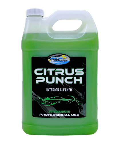 CITRUS PUNCH: INTERIOR CLEANER